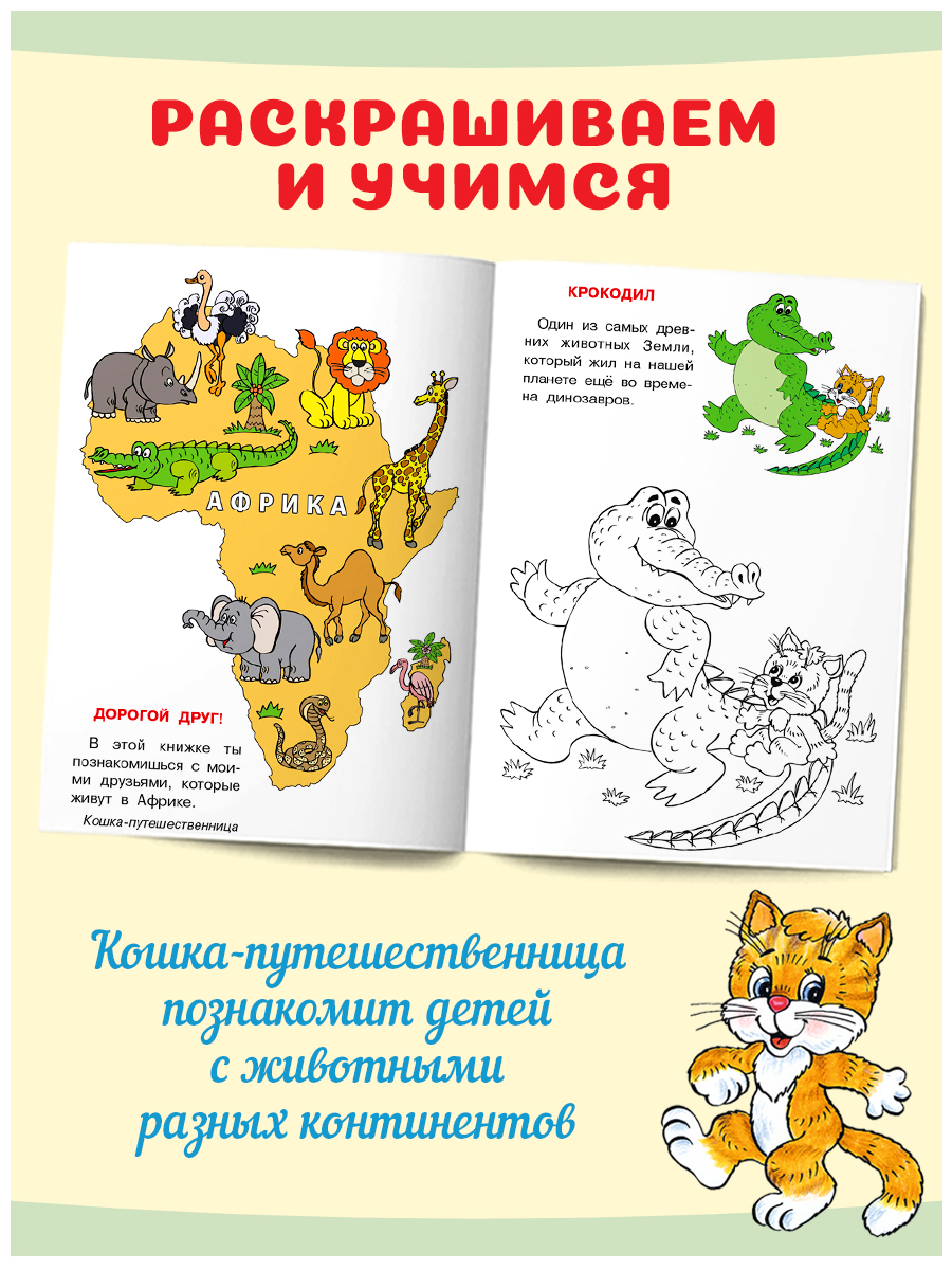 Познавательные раскраски Фламинго для детей Кошкин атлас - фото 2
