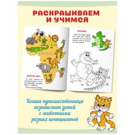 Познавательные раскраски Фламинго для детей Кошкин атлас