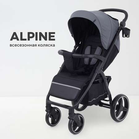 Коляска прогулочная Rant Basic Alpine серый