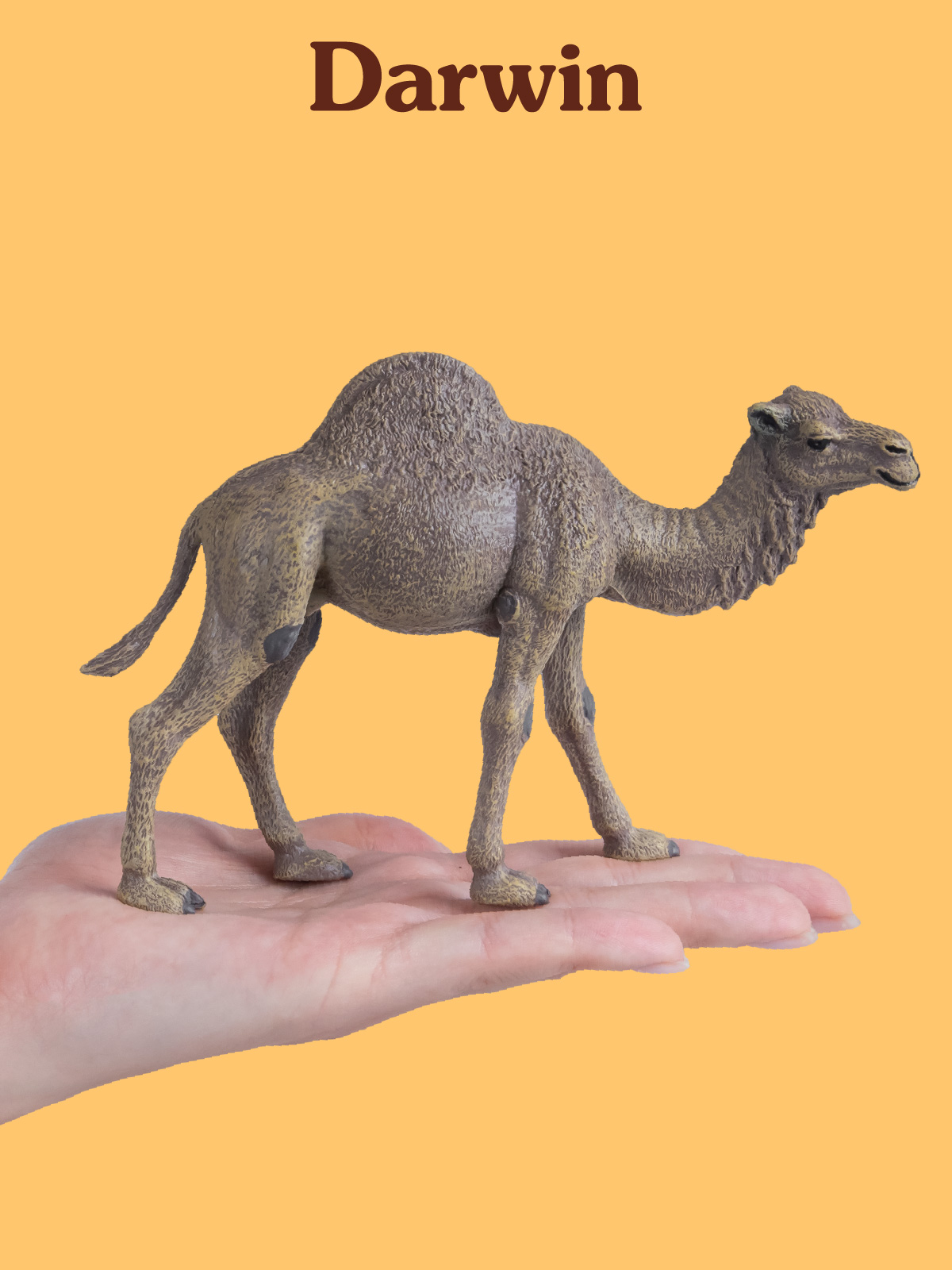 Фигурка DARWIN Верблюд - фото 2