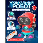 Робот РУ Рыжий кот