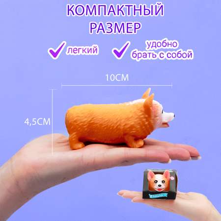 Сквиш ЭВРИКА