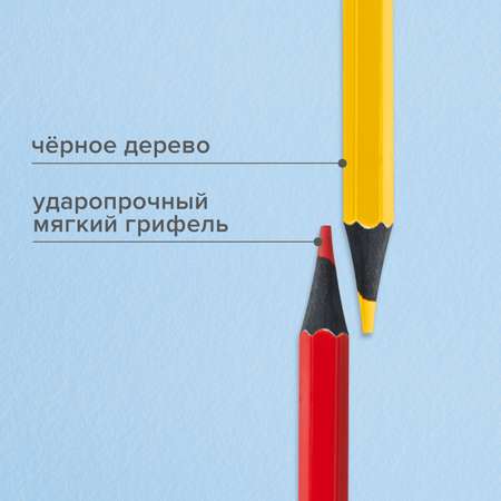 Карандаши цветные Brauberg 24 шт.