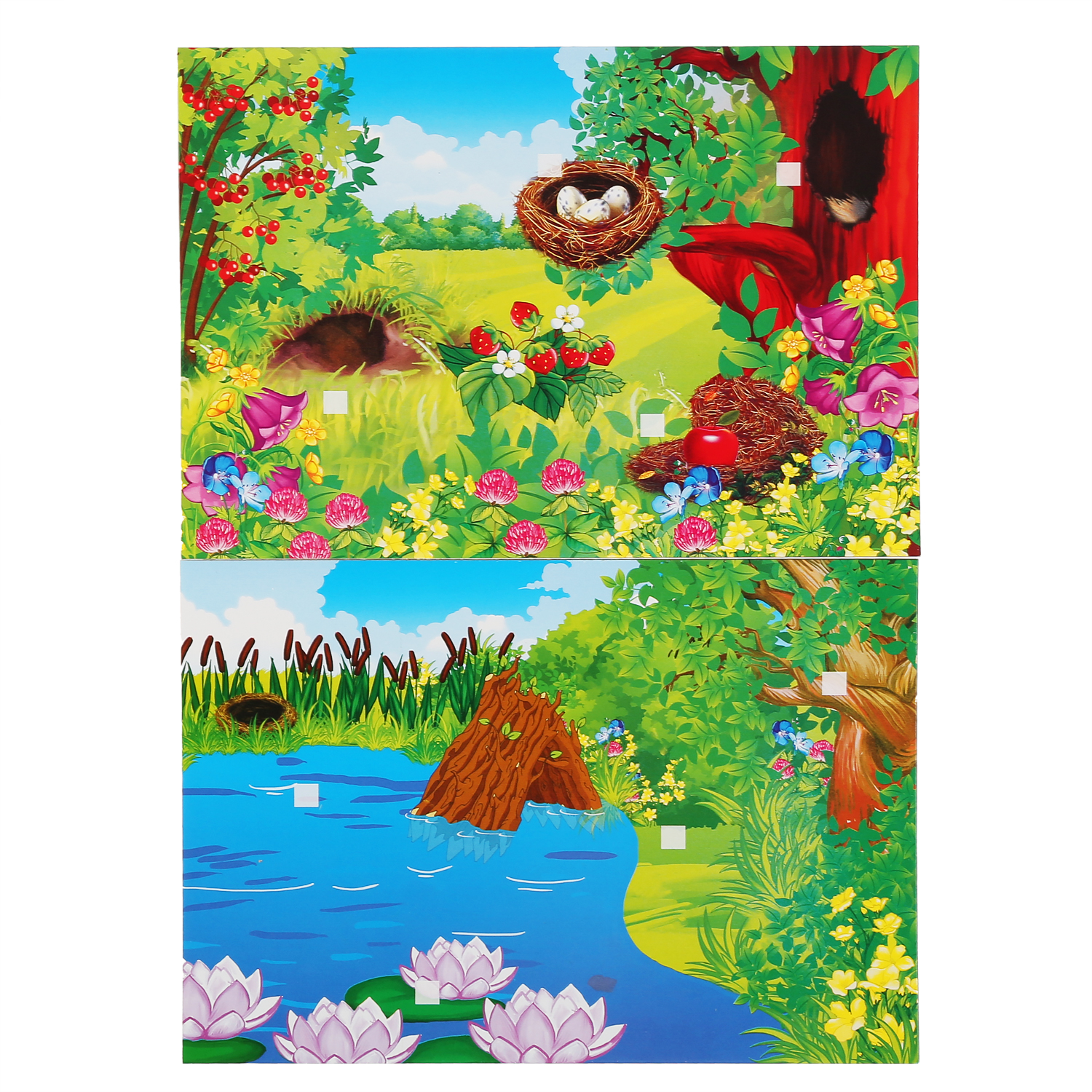 Настольная игра Умные игры Липучки Кто где живёт - фото 2