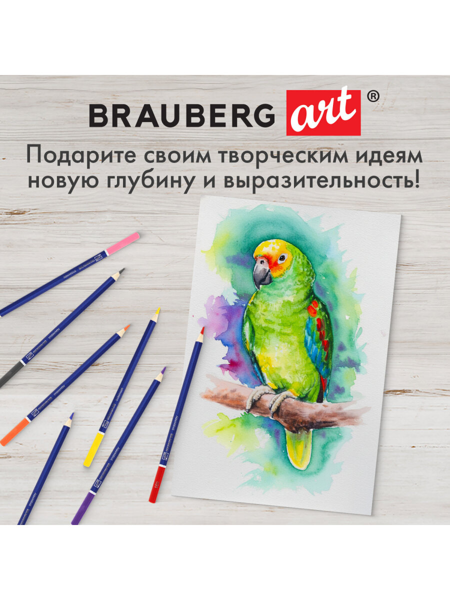 Карандаши акварельные Brauberg 48 шт. - фото 10
