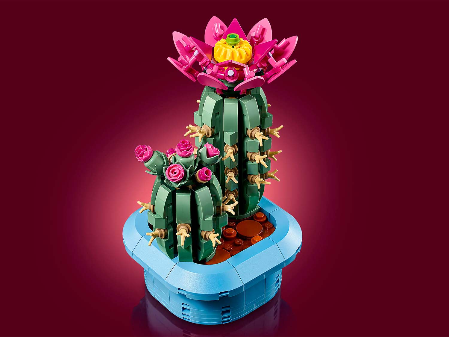 Конструктор LEGO Botanicals Цветущий кактус 482 дет. - фото 7