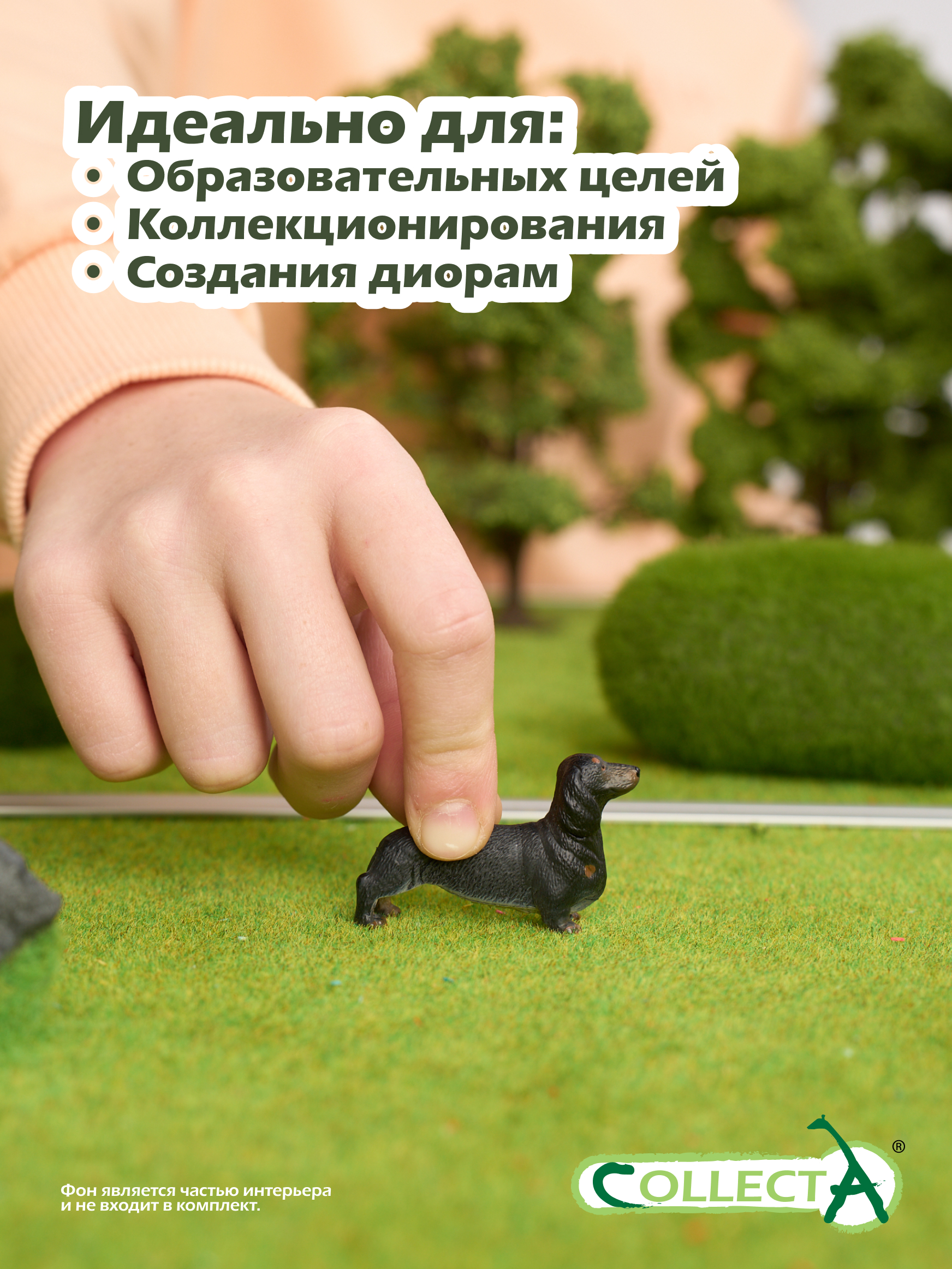 Фигурка Collecta собаки Такса - фото 6