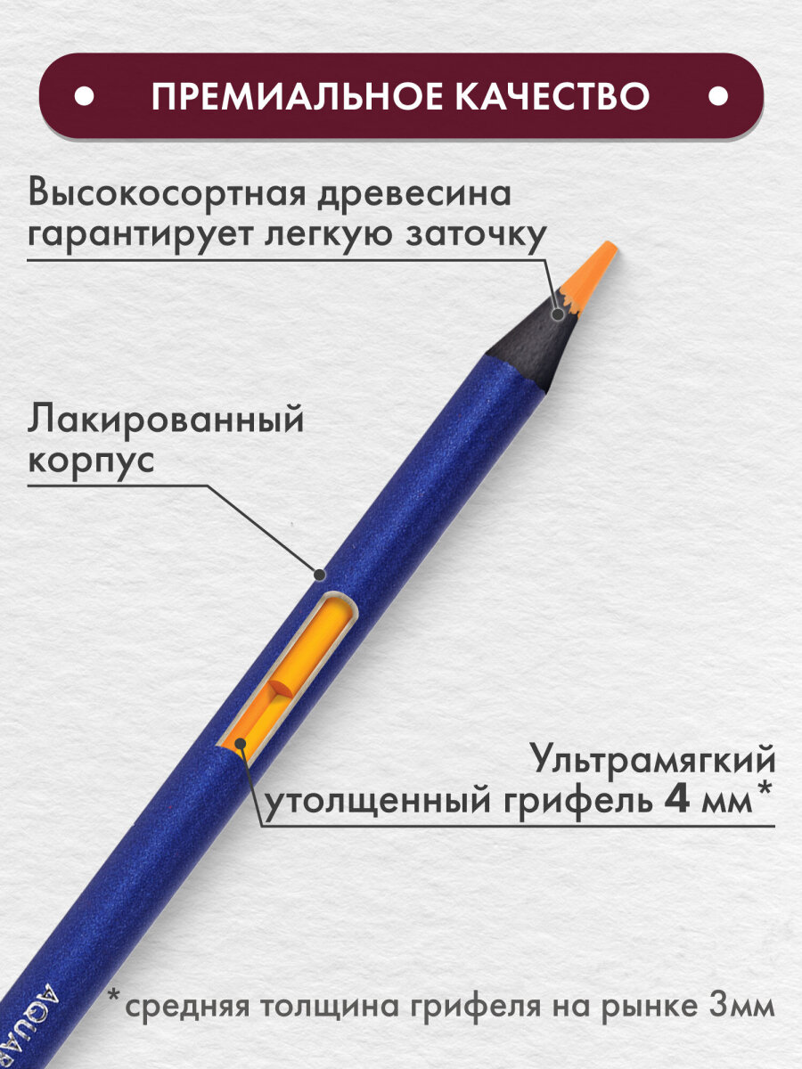 Карандаши акварельные Brauberg 12 шт. - фото 3