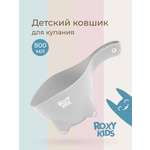 Ковш ROXY-KIDS Dino Scoop серый