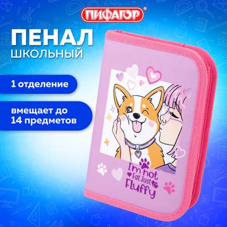 Пенал книжка Пифагор