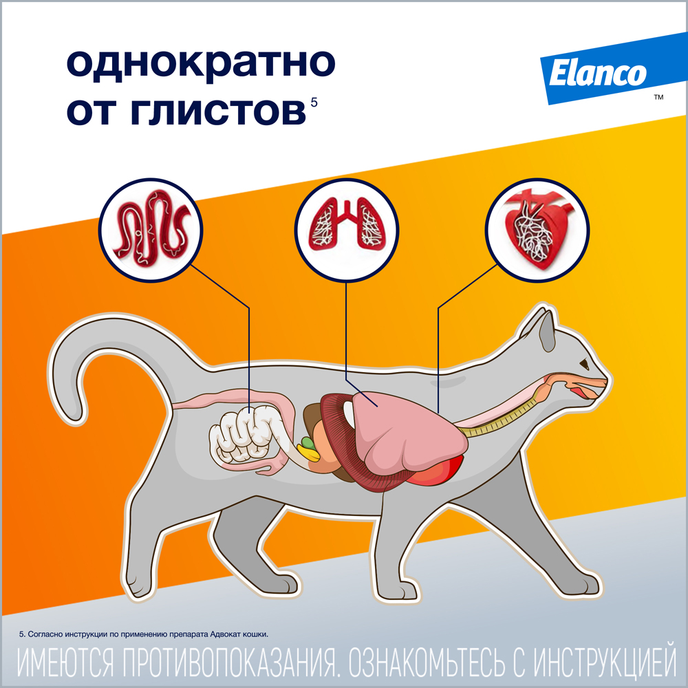 Капли для котят и кошек Elanco Адвокат до 4кг антипаразитарные 1пипетка - фото 7