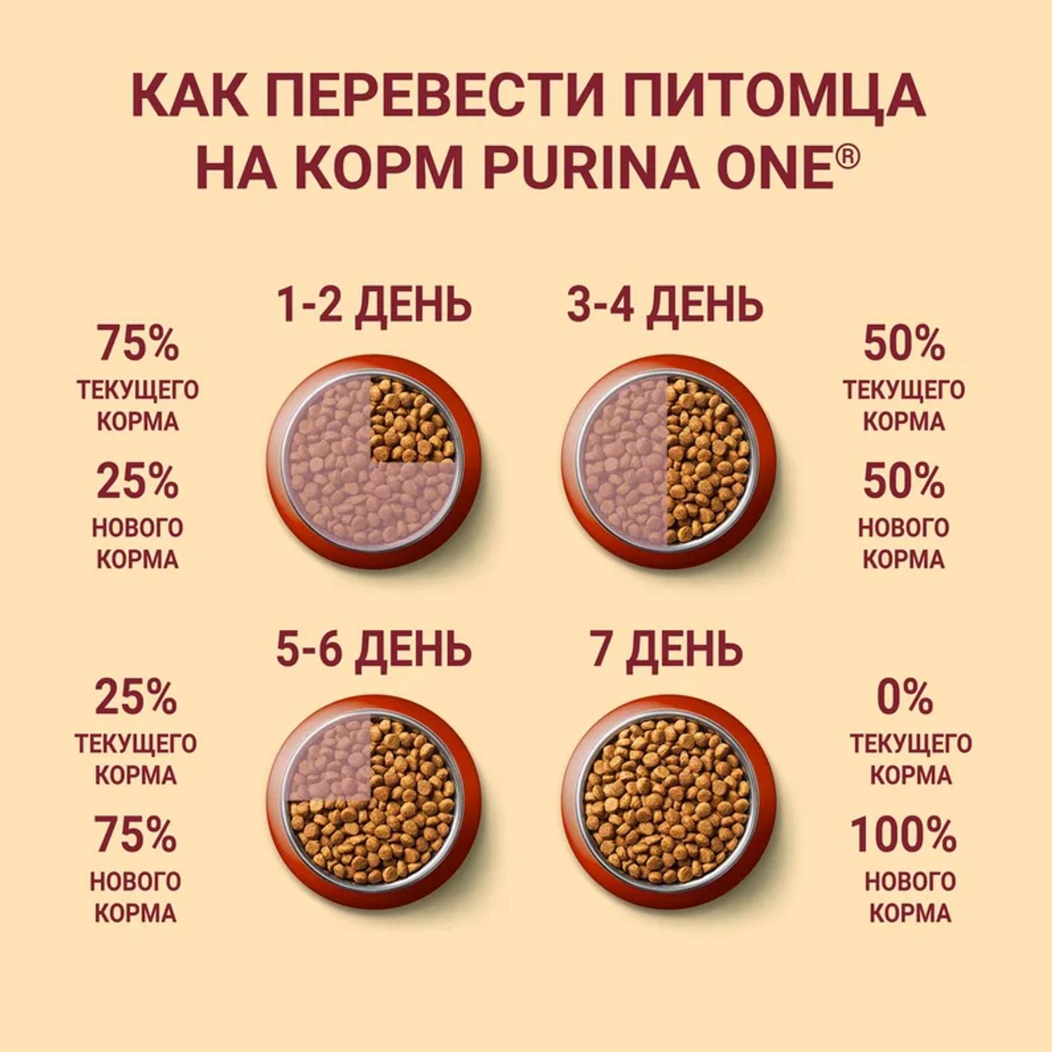 Корм для собак Purina One Mini активных мелких пород курица-рис 600г - фото 9