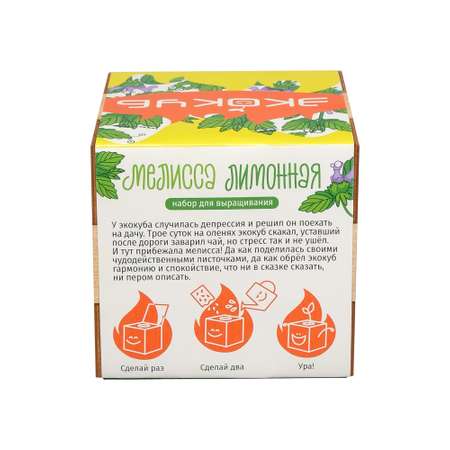 Набор для выращивания magicme