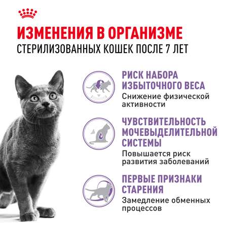 Корм сухой для кошек ROYAL CANIN Sterilised 1.5кг пожилых стерилизованных