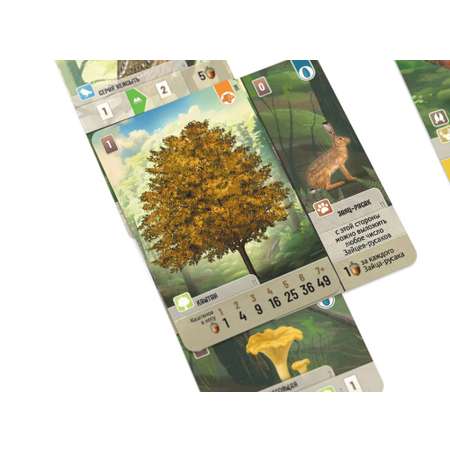 Настольная игра Стиль жизни Смешанный лес