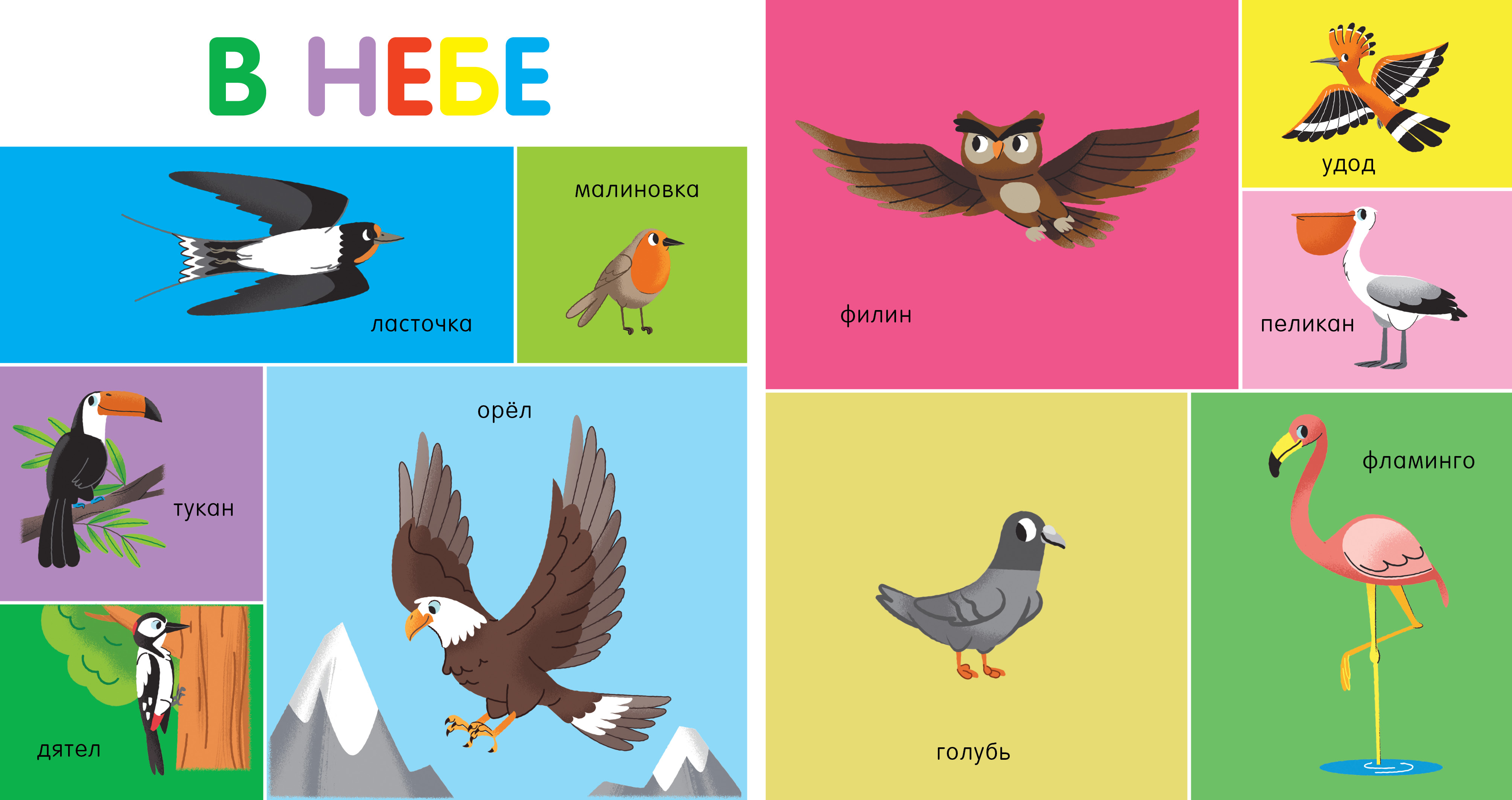 Книга Clever Мои первые слова. 100 животных - фото 5