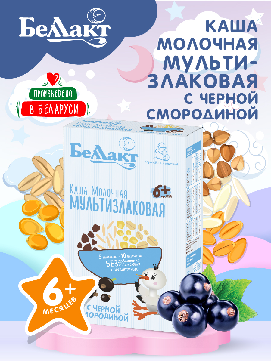 Каша молочная сухая Беллакт мультизлаковая с черной смородиной с пребиотиком 250г Х2 - фото 1