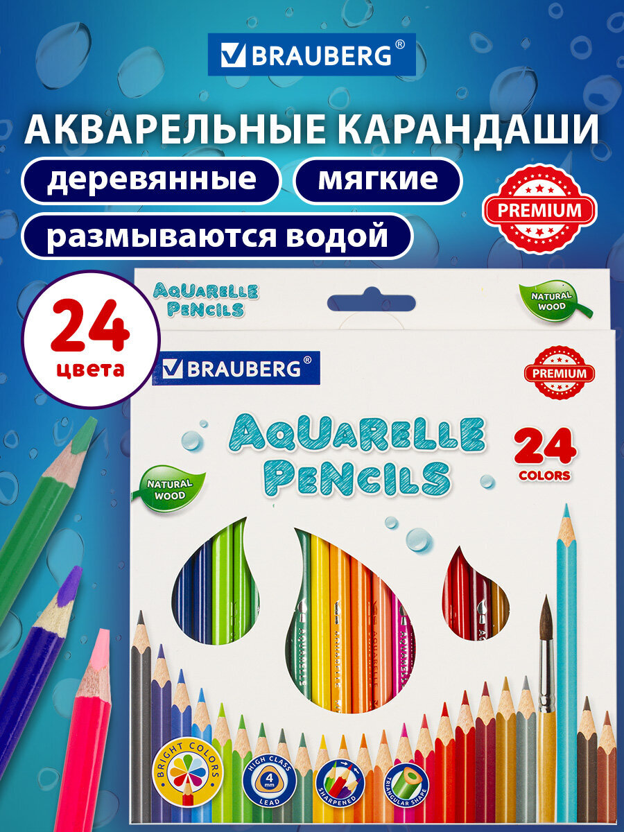 Карандаши акварельные Brauberg 24 шт. - фото 1