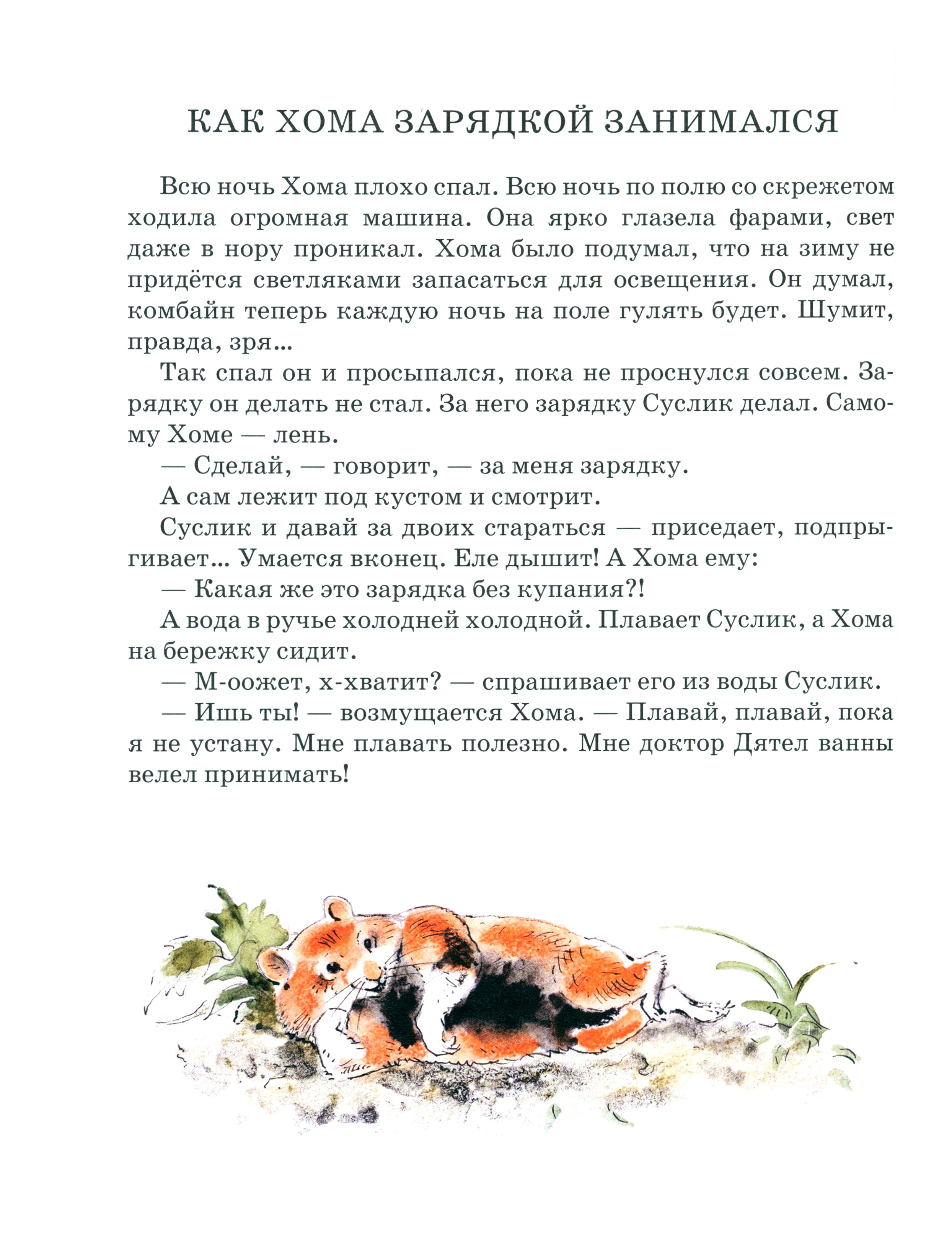 Книга Лабиринт Приключения Хомы - фото 2