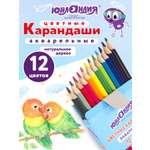 Карандаши цветные Юнландия 12 шт.