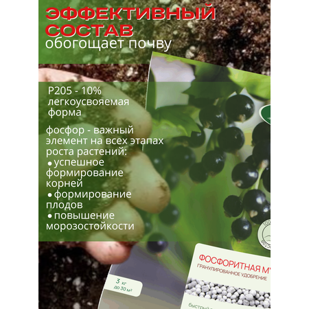 Удобрение осеннее Сельхозтрест Фосфоритная мука 3 кг