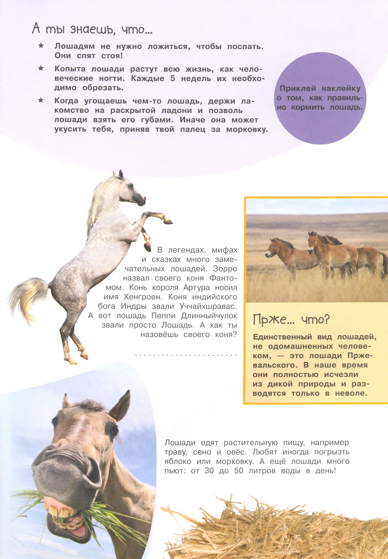 Книга Лабиринт Смотри и учись На ферме - фото 4