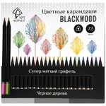 Карандаши цветные АРТформат 72 шт.