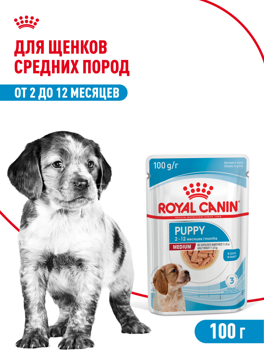 Корм для щенков влажный ROYAL CANIN Medium Puppy средних пород в возрасте до 12 месяцев соус 100 г - фото 1