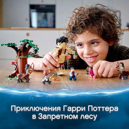 Конструктор LEGO Harry Potter Грохх и Долорес Амбридж блочный