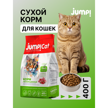 Корм сухой Jump! Для кошек
