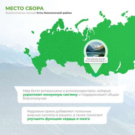 Мед Предгорья Белухи горный натуральный разнотравье с цельным кедровым орехом 140 г