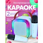 Колонка bluetooth, умная CASTLELADY беспроводная, караоке 2 шт.