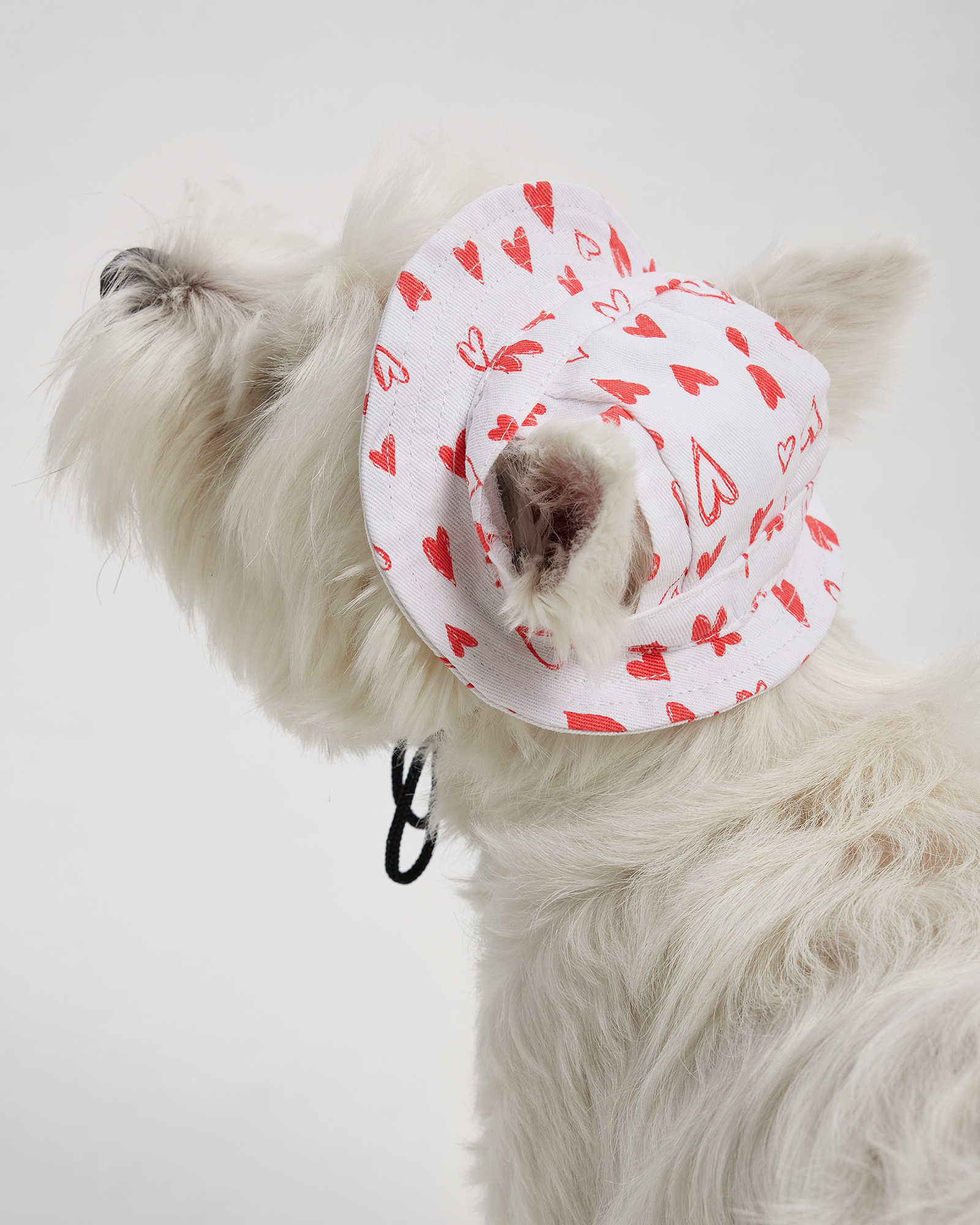 Панама для собак Зоозавр - фото 1