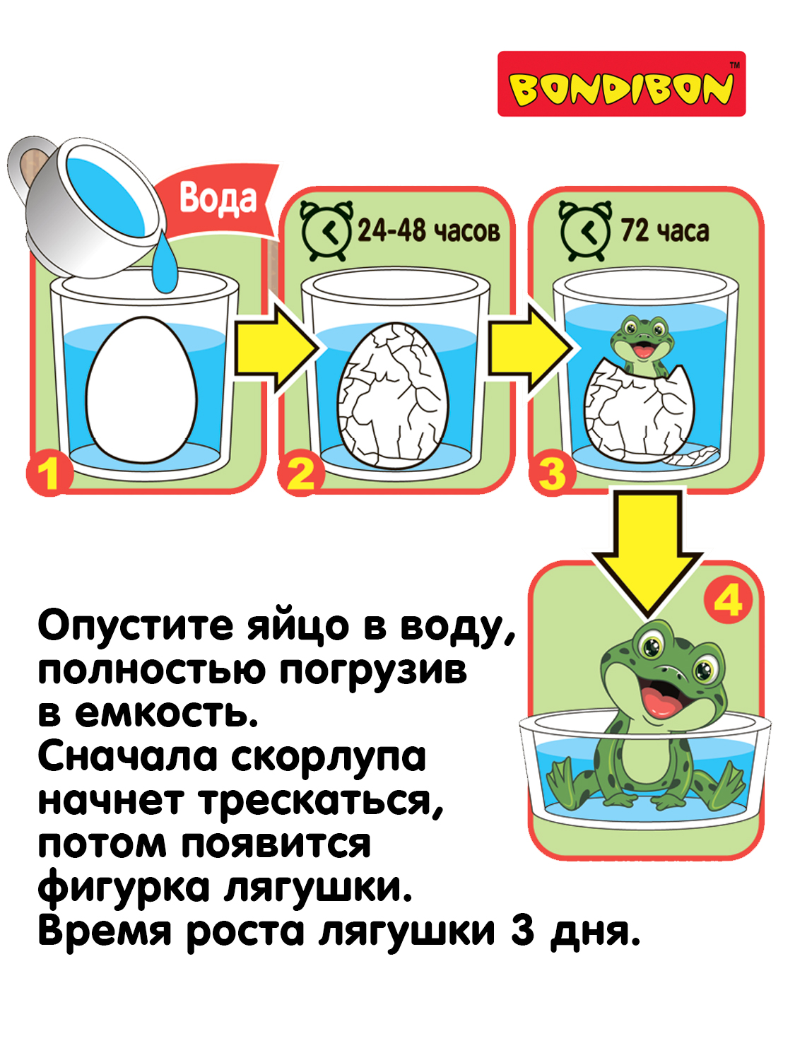 Набор для выращивания Bondibon Вырасти Лягушку в яйце - фото 10