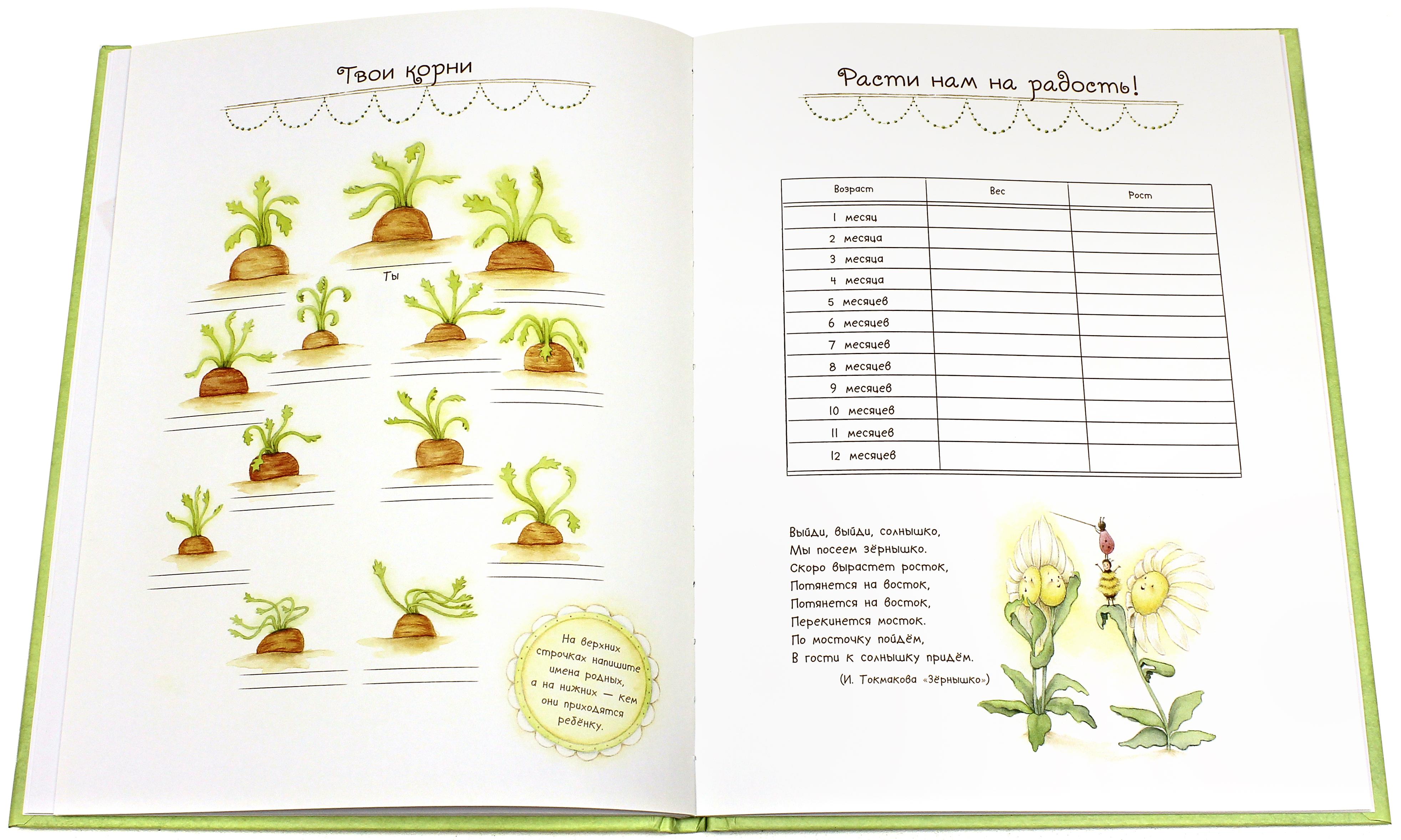 Книга Лабиринт Твой первый год Альбом для записей - фото 7
