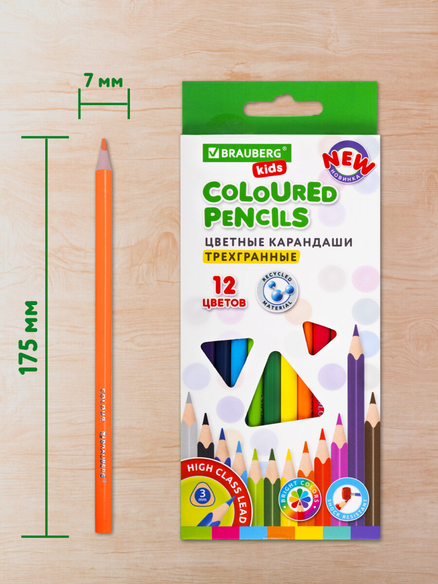 Карандаши цветные Brauberg 12 шт. - фото 5