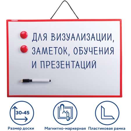 Магнитно-маркерная доска Пифагор