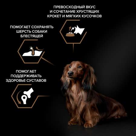 Корм для собак Purina Pro Plan 2.5кг Duo Delice мелких и карликовых пород с высоким содержанием говядины
