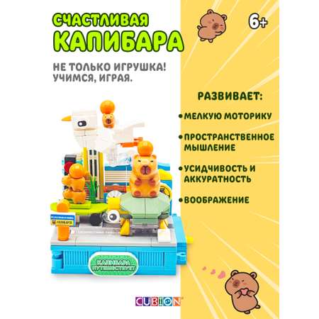 Конструктор Cubion 244 дет.