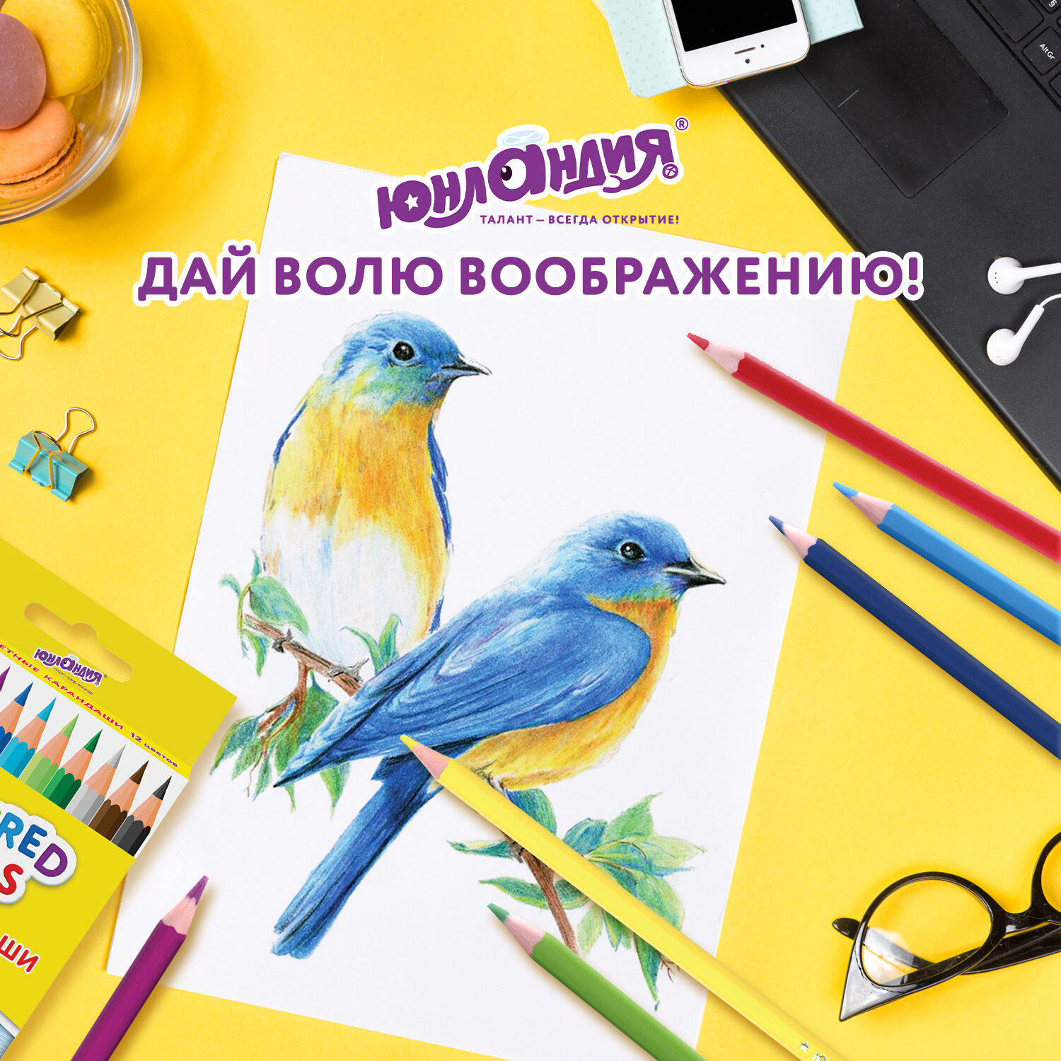 Карандаши цветные Юнландия 12 шт. - фото 6