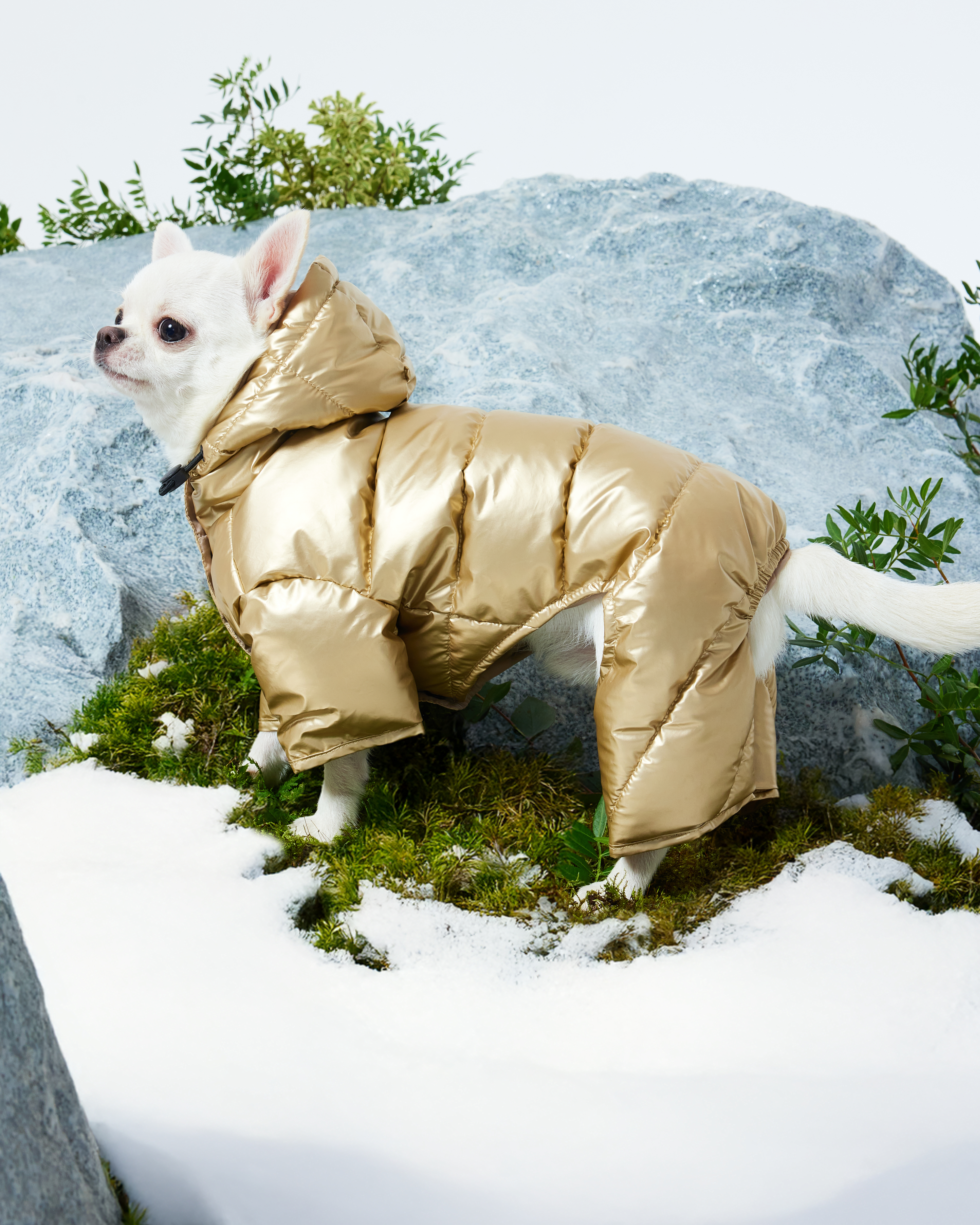 Комбинезон для собак и кошек Зоозавр - фото 15