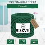 Трикотажная пряжа BISKVIT Еловый