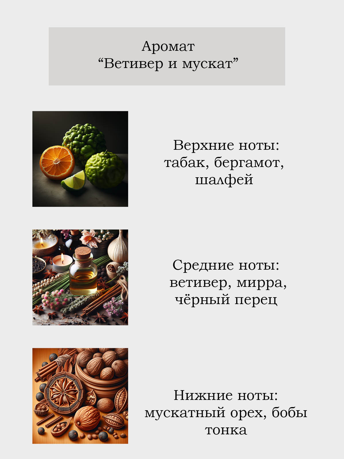 Диффузор для дома с палочками Plates and More Ветивер и мускат 50 мл - фото 2