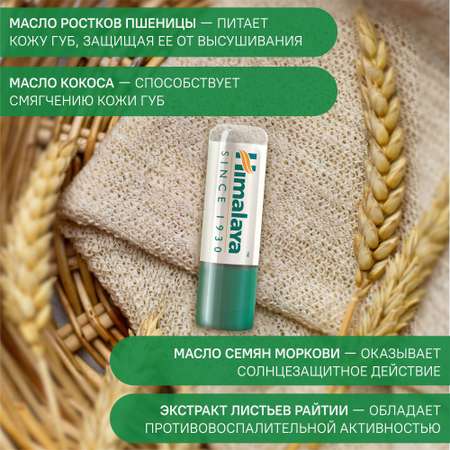 Гигиеническая помада Himalaya 2 шт.