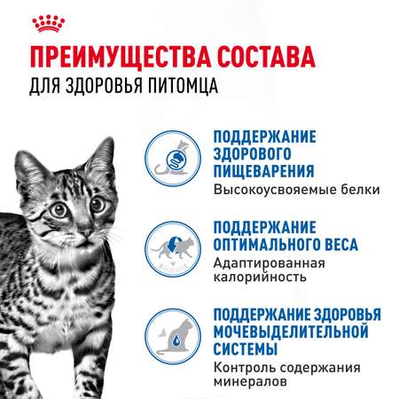 Корм влажный ROYAL CANIN Indoor Sterilised для кошек стерилизованных кусочки в желе