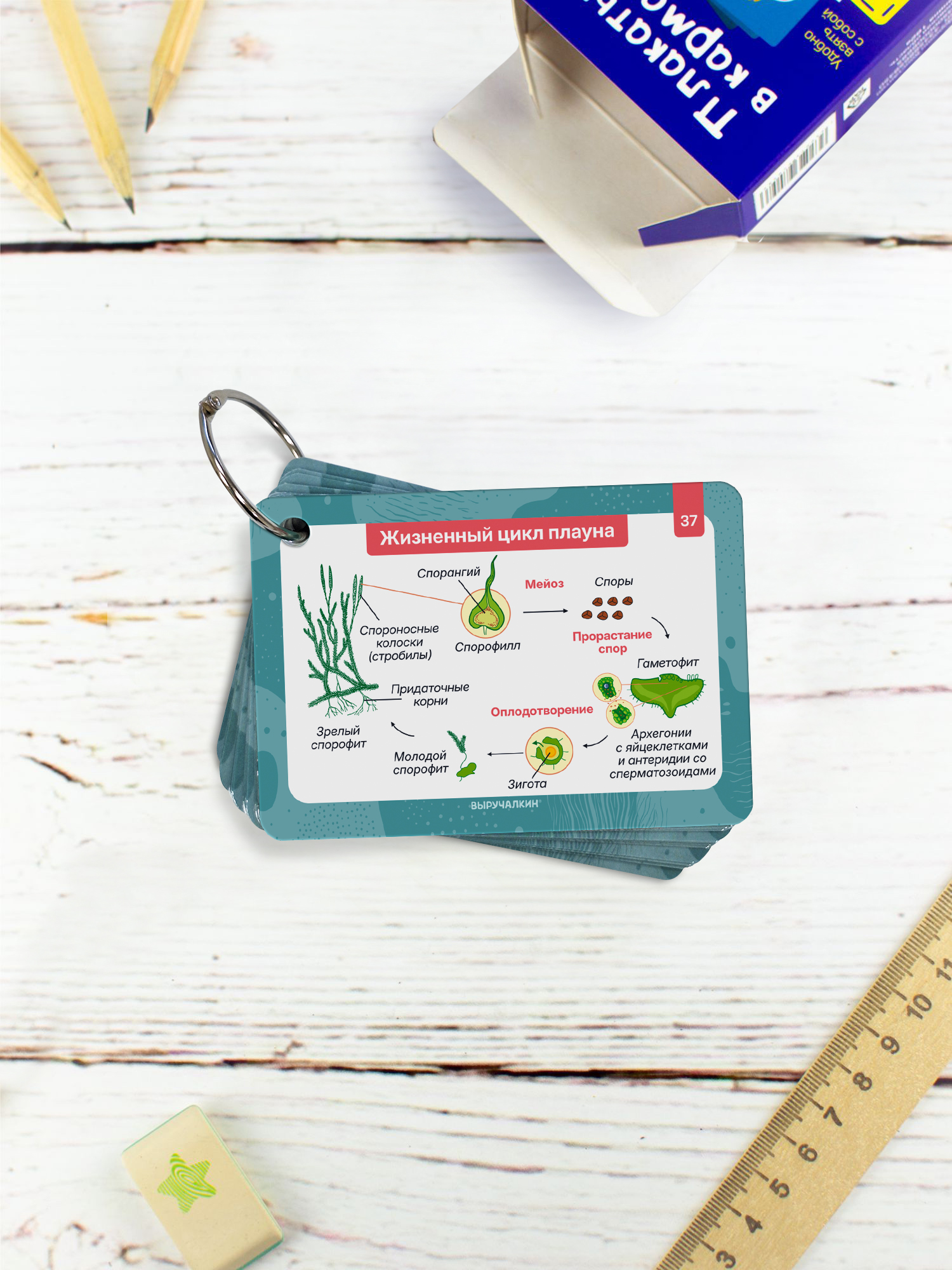 Карточки Выручалкин «Биология» 7 класс - фото 3