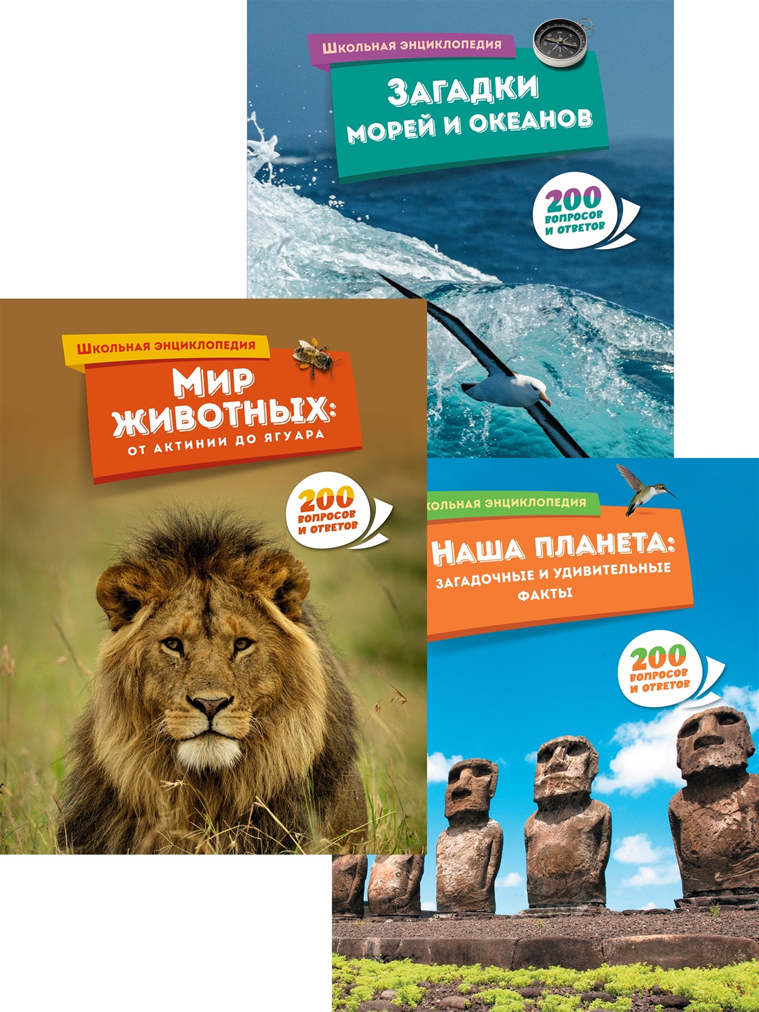 Книга Махаон Школьный комплект всезнайки из 3 х книг - фото 1