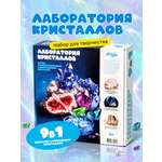 Набор для выращивания Attivio Юный химик
