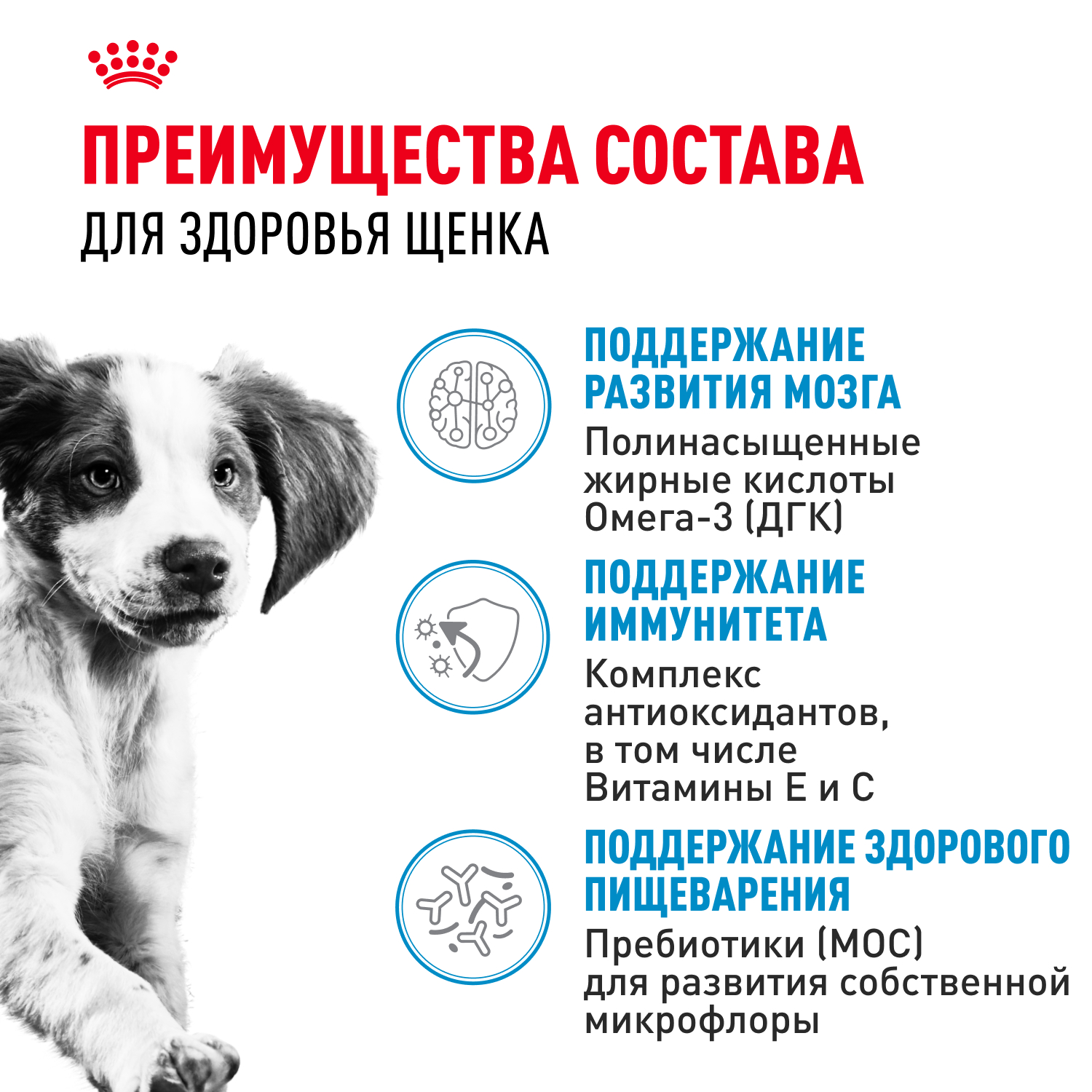 Корм для щенков влажный ROYAL CANIN Medium Puppy средних пород в возрасте до 12 месяцев соус 100 г - фото 3