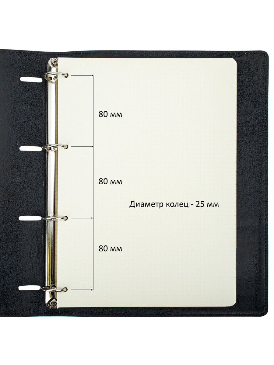 Тетрадь со сменным блоком Brauberg клетка 120 лист. - фото 5